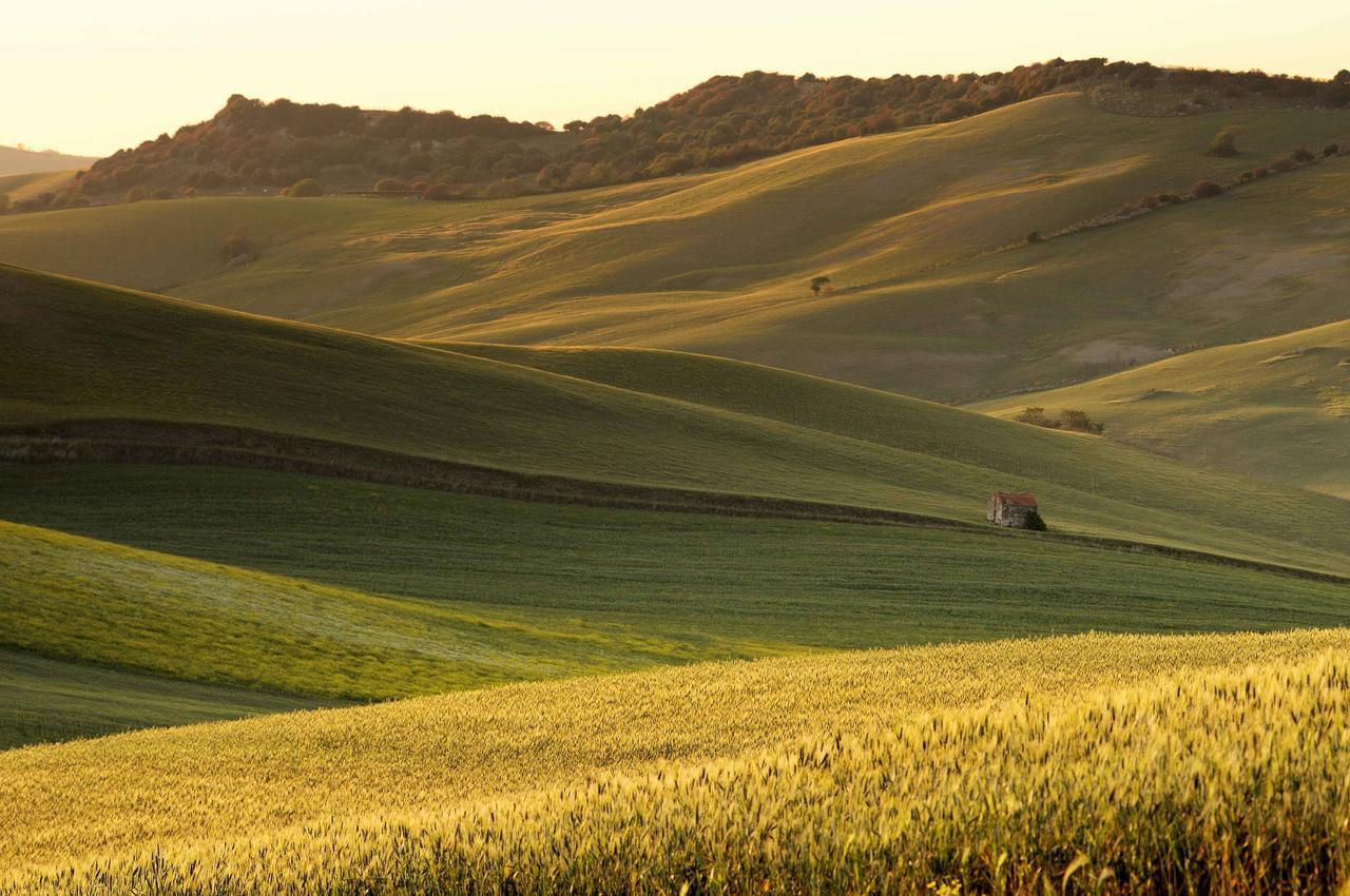Agriturismo Palazzo Conti - B Pienza Exterior foto