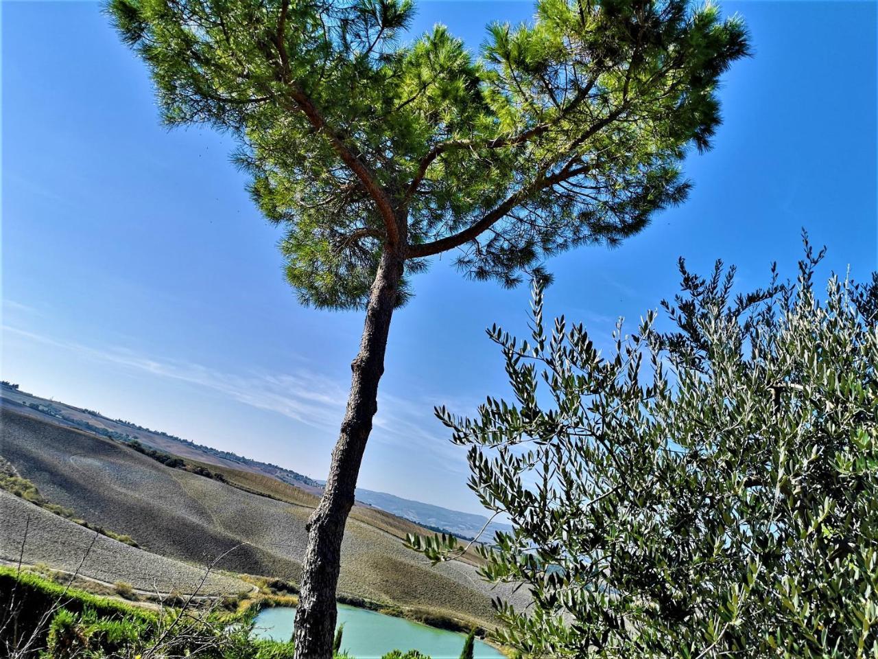Agriturismo Palazzo Conti - B Pienza Exterior foto